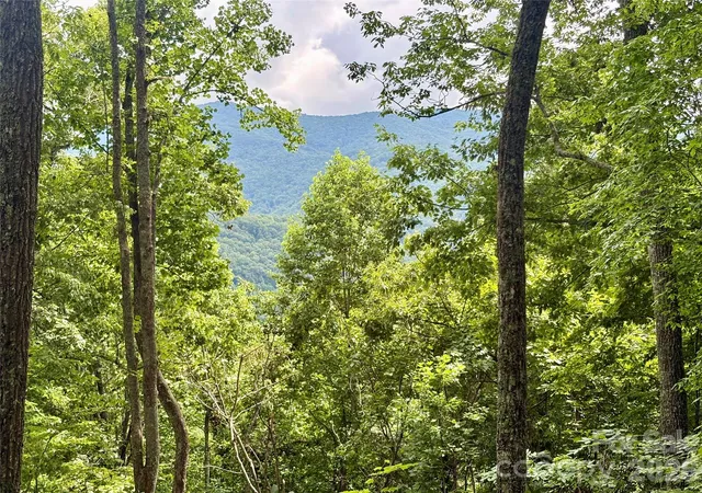 Photo 3 of Land for sale at 0 Carpenter Rd, Bryson City, NC 28713 | MLS# 4378862 | Listing updated on 2026-09-04