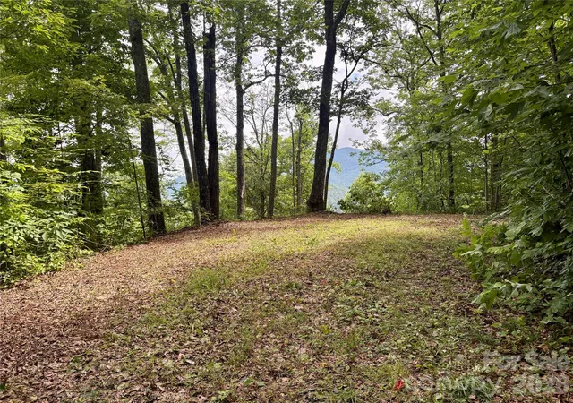Photo 5 of Land for sale at 0 Carpenter Rd, Bryson City, NC 28713 | MLS# 4378862 | Listing updated on 2026-09-04