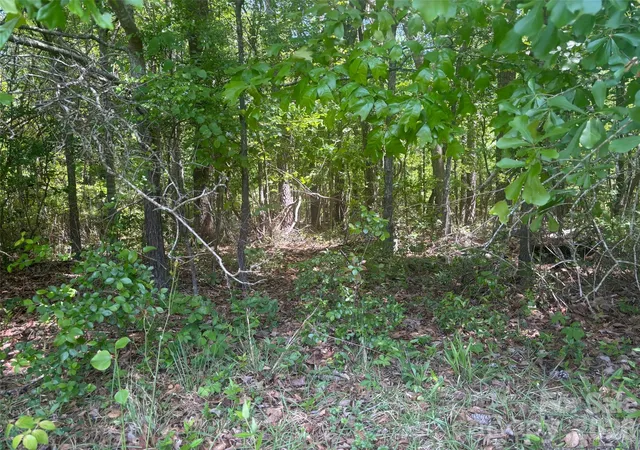 Photo 3 of Land for sale at 2206 S Highway 1, Elgin, SC 29045 | MLS# 4378864 | Listing updated on 2026-05-06