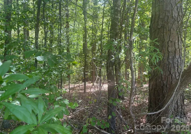 Photo 4 of Land for sale at 2206 S Highway 1, Elgin, SC 29045 | MLS# 4378864 | Listing updated on 2026-05-06
