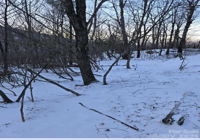 Homes for sale in Beech Mountain, NC | 103 Snowplow Ln, Beech Mountain, NC 28604 | MLS# 4379059