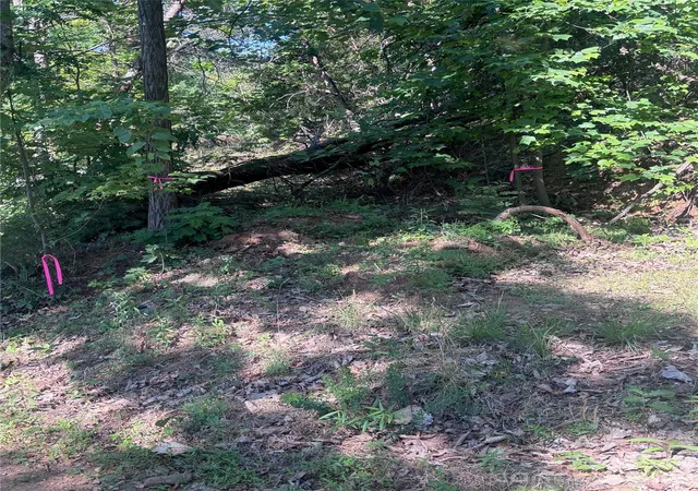 8th image of 137 Napa Dr, Rutherfordton, NC 28139 | MLS# 4379149