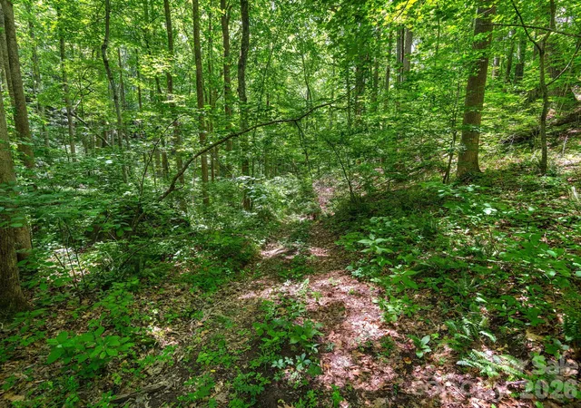16th image of 181 Harley Davidson Dr, Canton, NC 28716 | MLS# 4379451