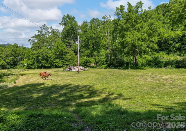4th image of 181 Harley Davidson Dr, Canton, NC 28716 | MLS# 4379451