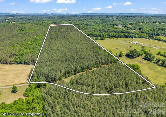 1st image of 0 Jim Dobbins Rd, Rutherfordton, NC 28139 | MLS# 4379470