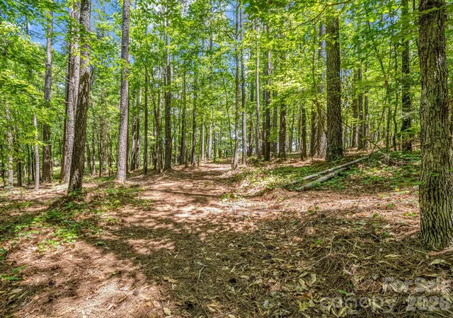 39th image of 0 Jim Dobbins Rd, Rutherfordton, NC 28139 | MLS# 4379470