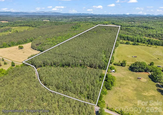 4th image of 0 Jim Dobbins Rd, Rutherfordton, NC 28139 | MLS# 4379470