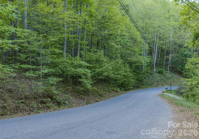 Photo 2 of Land for sale at 259 Mockingbird Rd #1, Swannanoa, NC 28778 | MLS# 4379552 | Listing updated on 2026-10-03
