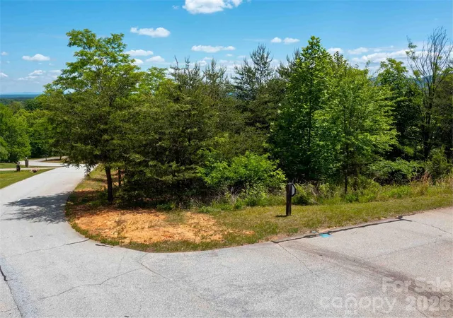 Homes for sale in Mill Spring, NC | Lot 150 Birkdale Dr, Mill Spring, NC 28756 | MLS# 4379668