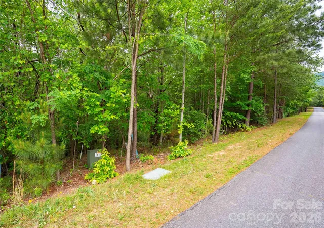 Homes for sale in Mill Spring, NC | Lot 2009 Deep Gap Farm Rd W, Mill Spring, NC 28756 | MLS# 4379670