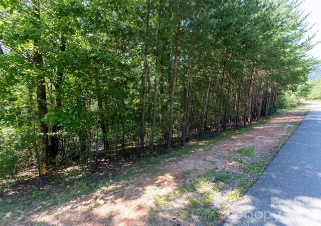 Photo 1 of Land for sale at Lot 2006 Deep Gap Farm Rd W, Mill Spring, NC 28756 | MLS# 4379674 | Listing updated on 2026-09-25