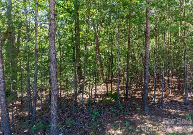 Photo 2 of Land for sale at Lot 2006 Deep Gap Farm Rd W, Mill Spring, NC 28756 | MLS# 4379674 | Listing updated on 2026-09-25