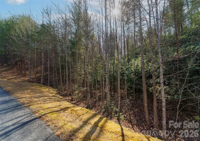 Photo 3 of Land for sale at 265 Harborside Dr #250, Nebo, NC 28761 | MLS# 4379697 | Listing updated on 2026-05-08