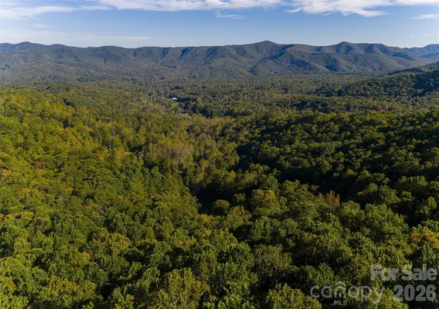 46th image of 360 Banjo Branch Rd, Burnsville, NC 28714 | MLS# 4379791