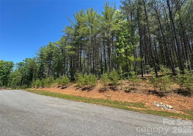Photo 3 of Land for sale at 3227 Ella Marie Way, Nebo, NC 28761 | MLS# 4379892 | Listing updated on 2026-05-09
