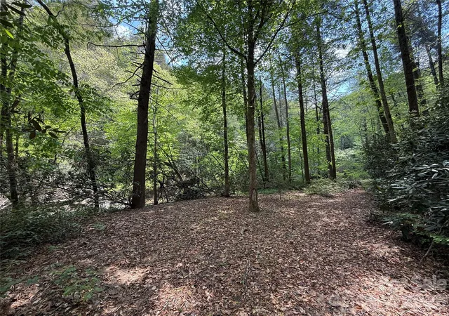 Homes for sale in Old Fort, NC | 000 Kings Glen Rd, Old Fort, NC 28762 | MLS# 4380049