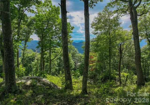 Homes for sale in Banner Elk, NC | G30 Lodge Woods Trl, Banner Elk, NC 28604 | MLS# 4380112