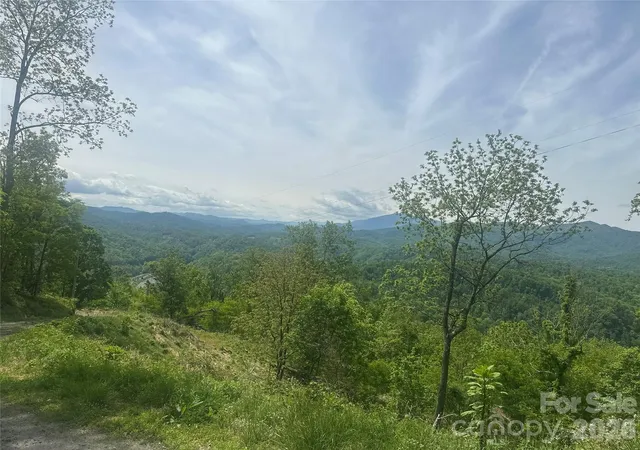 Homes for sale in Bakersville, NC | 00 John Sparks Rd, Bakersville, NC 28705 | MLS# 4380168