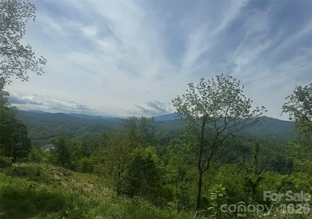 Homes for sale in Bakersville, NC | 00 John Sparks Rd, Bakersville, NC 28705 | MLS# 4380168