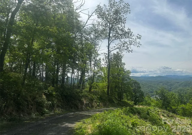 Photo 3 of Land for sale at 00 John Sparks Rd, Bakersville, NC 28705 | MLS# 4380168 | Listing updated on 2026-05-10