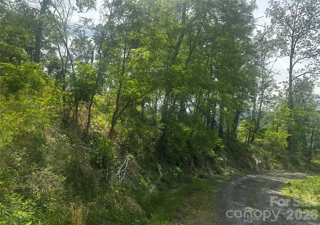Photo 4 of Land for sale at 00 John Sparks Rd, Bakersville, NC 28705 | MLS# 4380168 | Listing updated on 2026-05-10