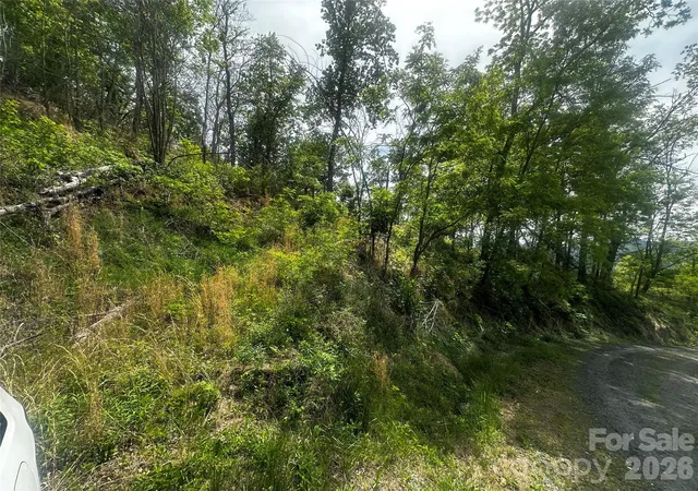Photo 5 of Land for sale at 00 John Sparks Rd, Bakersville, NC 28705 | MLS# 4380168 | Listing updated on 2026-05-10