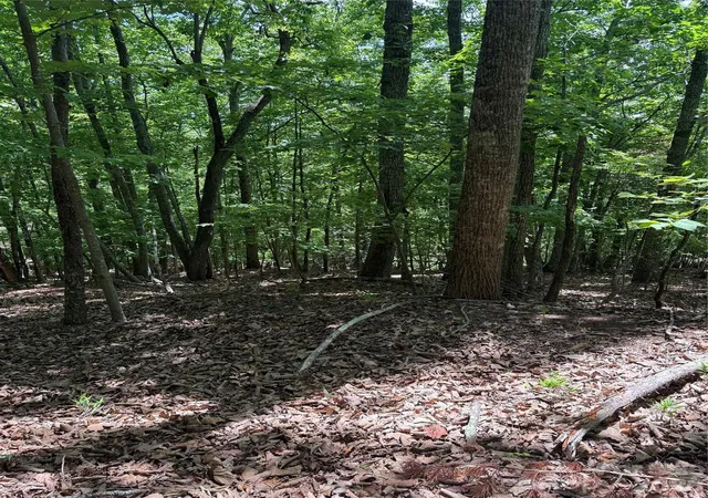 22nd image of 85 Adirondack Ln #85, Bostic, NC 28018 | MLS# 4380192