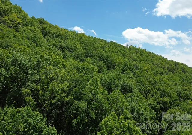 Photo 3 of Land for sale at 99999 Pink Fox Cvs Rd, Weaverville, NC 28787 | MLS# 4380213 | Listing updated on 2026-08-21