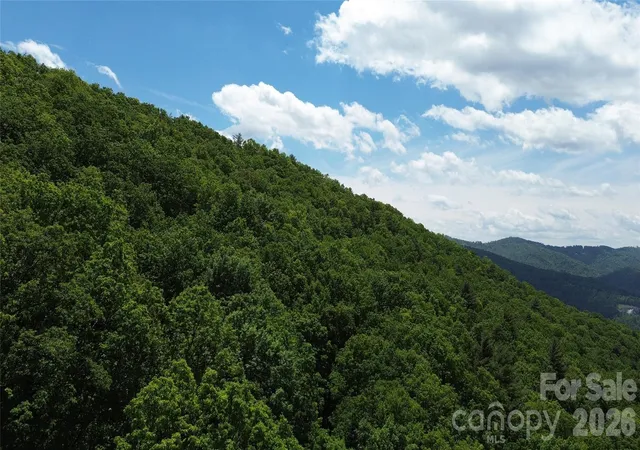 Photo 4 of Land for sale at 99999 Pink Fox Cvs Rd, Weaverville, NC 28787 | MLS# 4380213 | Listing updated on 2026-08-21