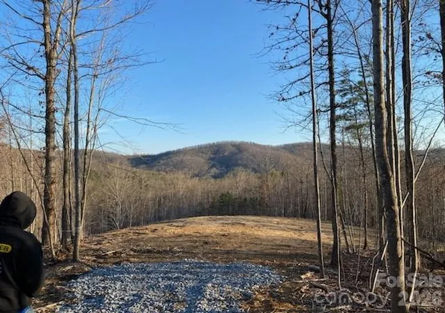 3rd image of 0 Osprey Ln, Nebo, NC 28761 | MLS# 4380250