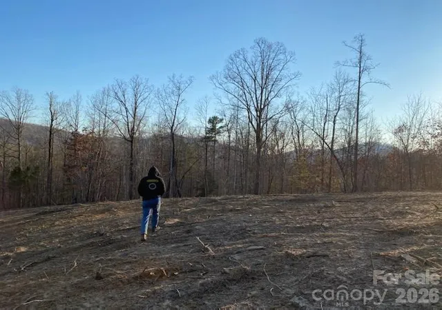 4th image of 0 Osprey Ln, Nebo, NC 28761 | MLS# 4380250