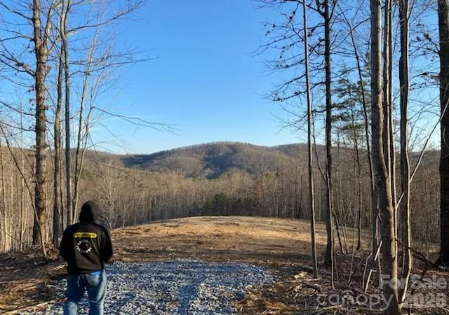 5th image of 0 Osprey Ln, Nebo, NC 28761 | MLS# 4380250