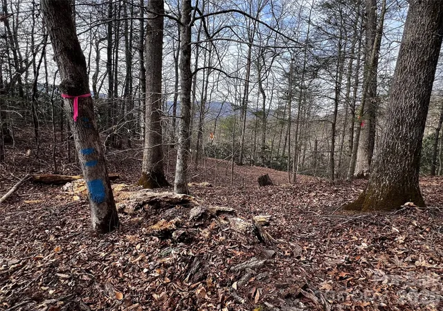 Photo 3 of Land for sale at Lot 127 Bear River Lodge Trl, Marshall, NC 28753 | MLS# 4380372 | Listing updated on 2026-08-28