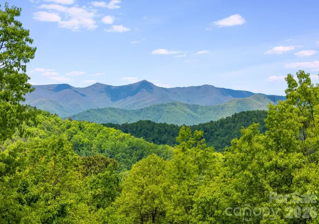2nd image of 1659 High Rock Acres Dr, Black Mountain, NC 28711 | MLS# 4380378