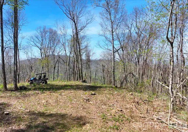 Photo 3 of Land for sale at 48 Benfield Rd, Weaverville, NC 28787 | MLS# 4380423 | Listing updated on 2026-08-27