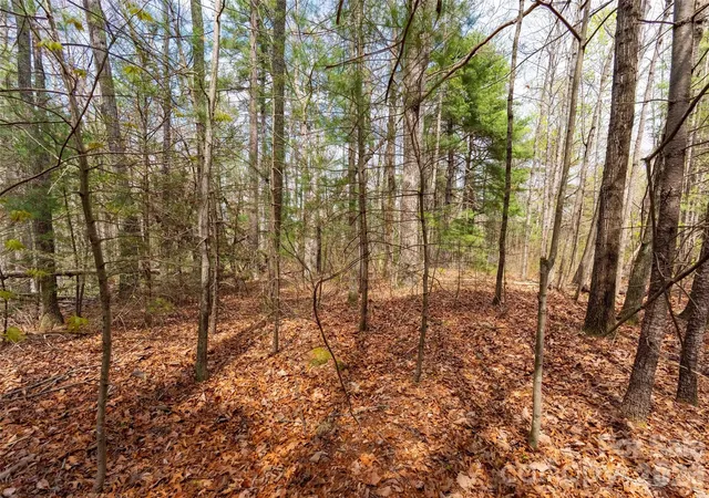 Photo 4 of Land for sale at 00 E Hilltop Dr #13B, Saluda, NC 28773 | MLS# 4380597 | Listing updated on 2026-06-26