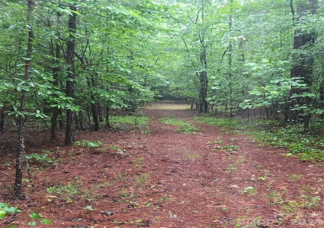Photo 3 of Land for sale at 0 Mooresboro Rd, Mooresboro, NC 28114 | MLS# 4380624 | Listing updated on 2026-06-03