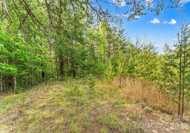 Photo 4 of Land for sale at 3345 Ella Marie Way #65, Nebo, NC 28761 | MLS# 4380723 | Listing updated on 2026-08-20