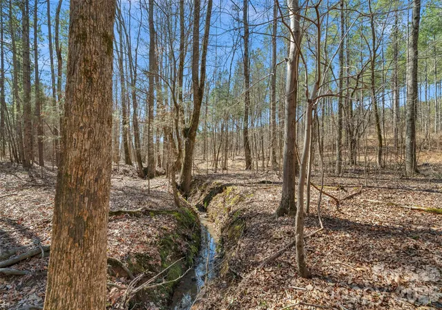 Photo 3 of Land for sale at 000 Peacehaven Rd #4, Mc Connells, SC 29726 | MLS# 4380725 | Listing updated on 2026-09-23
