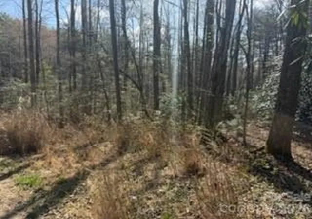 Photo 5 of Land for sale at 99999 Laura Brooke Dr, Penrose, NC 28766 | MLS# 4380827 | Listing updated on 2026-08-18