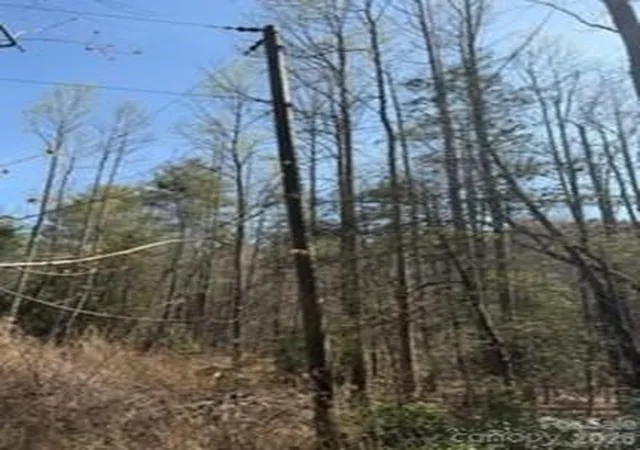 Photo 8 of Land for sale at 99999 Laura Brooke Dr, Penrose, NC 28766 | MLS# 4380827 | Listing updated on 2026-08-18