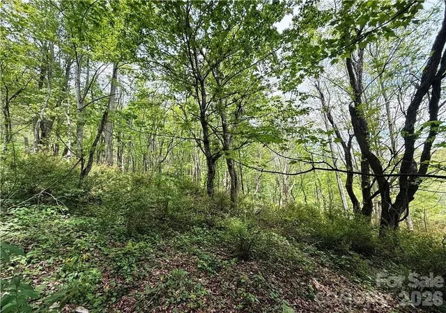 Homes for sale in Banner Elk, NC | Tbd Spice Creek Rd, Banner Elk, NC 28604 | MLS# 4380885