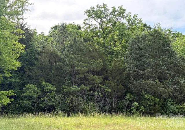 2nd image of 59 Ac Lancaster Hwy Hwy, Chester, SC 29706 | MLS# 4381014