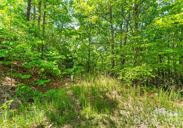 Photo 3 of Land for sale at 1620 North Hvn Dr #CC18, Black Mountain, NC 28711 | MLS# 4381028 | Listing updated on 2026-07-02