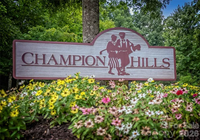 37th image of 4 Lacoste Dr, Hendersonville, NC 28739 | MLS# 4381202