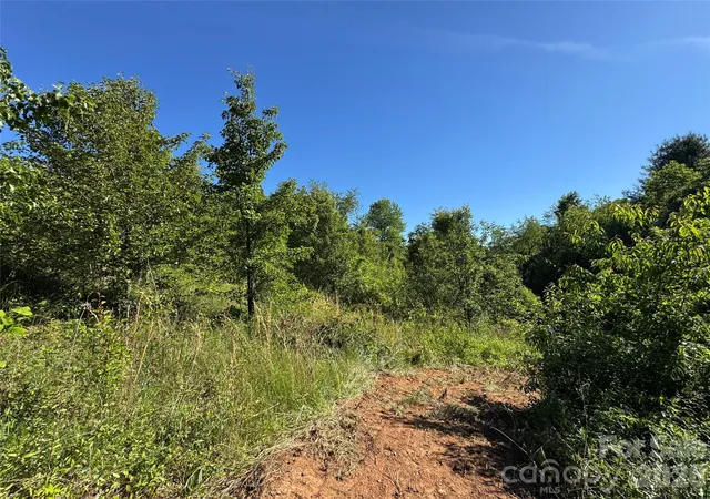 5th image of Tbd Duckett Rd, Candler, NC 28715 | MLS# 4381292