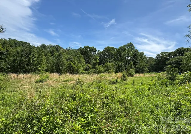 4th image of Tbd Duckett Rd, Candler, NC 28715 | MLS# 4381292