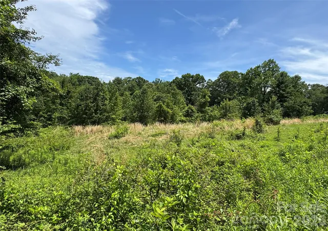 2nd image of Tbd Duckett Rd, Candler, NC 28715 | MLS# 4381292