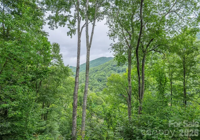 Photo 4 of Single family home for sale at 309 Irene Ln, Maggie Valley, NC 28751 | MLS# 4381461 | Listing updated on 2026-07-31