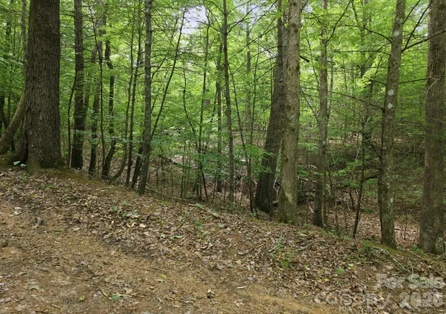 Photo 3 of Land for sale at 2411 Hundred Acres Ln, Lenoir, NC 28645 | MLS# 4381640 | Listing updated on 2026-10-07